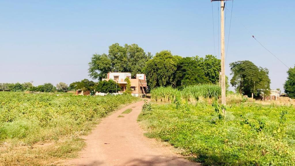 Ananya Farms Paradise Dzsódhpur Kültér fotó